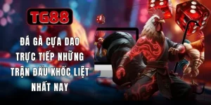 Đá Gà Cựa Dao