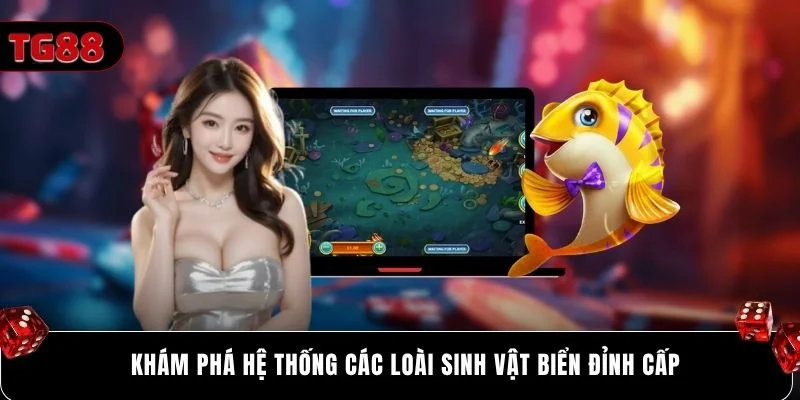 Khám phá hệ thống các loài sinh vật biển đỉnh cấp