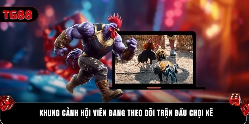 Khung cảnh hội viên đang theo dõi trận đấu chọi kê