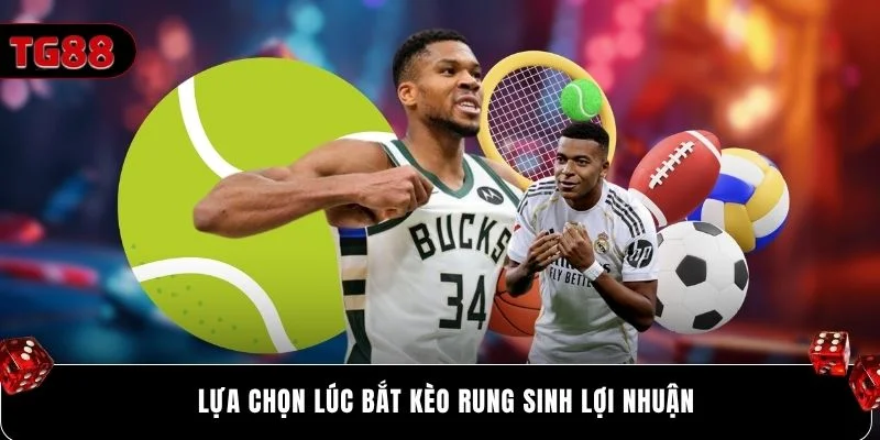 Lựa chọn lúc bắt kèo rung sinh lợi nhuận