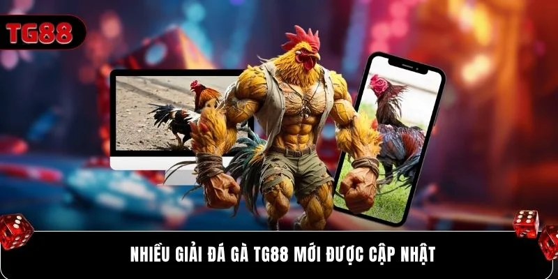 Nhiều giải đá gà Tg88 mới được cập nhật