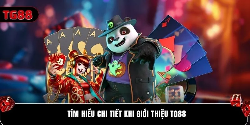 Tìm hiểu chi tiết khi giới thiệu Tg88